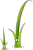 Twig